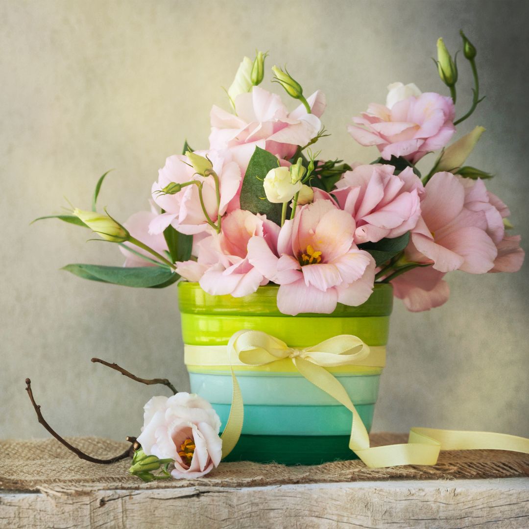 eustoma