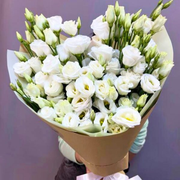 eustoma